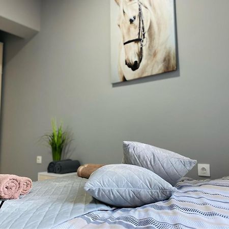 Nj Luxury Rooms And Suites Βάρνα Εξωτερικό φωτογραφία